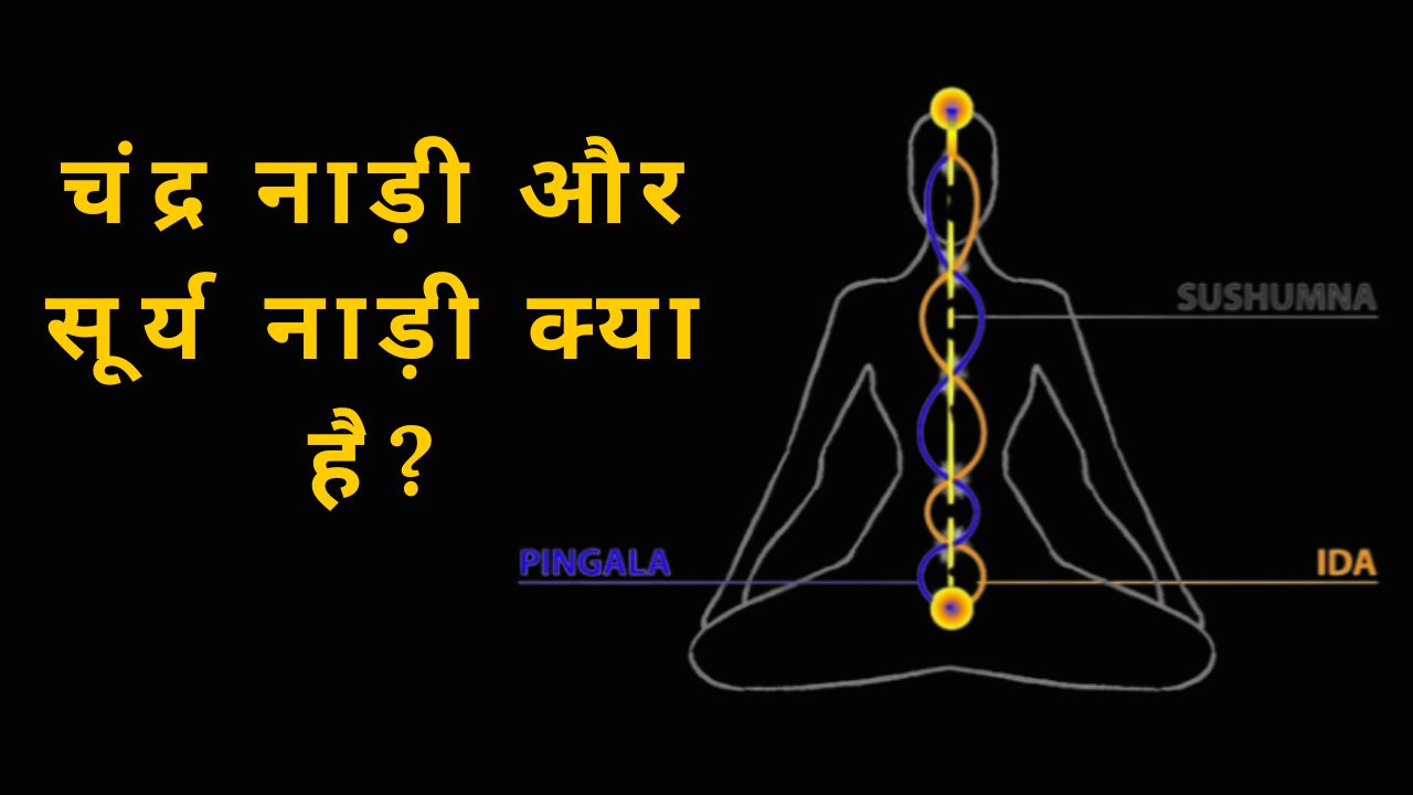 सुषुम्ना नाड़ी
