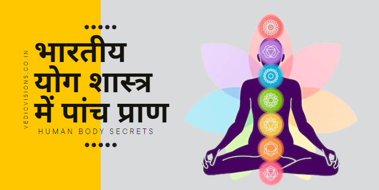 पांच प्राण